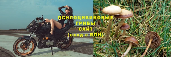 ПСИЛОЦИБИНОВЫЕ ГРИБЫ Беломорск