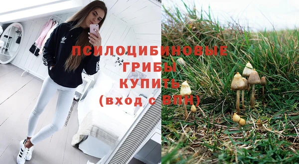 ПСИЛОЦИБИНОВЫЕ ГРИБЫ Беломорск