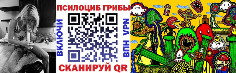 Псилоцибиновые грибы прущие грибы  наркота  Горно-Алтайск 