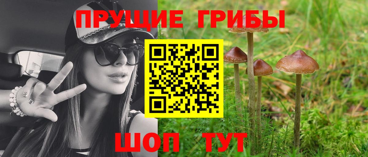 Псилоцибиновые грибы GOLDEN TEACHER  Вход с VPN  Горно-Алтайск 