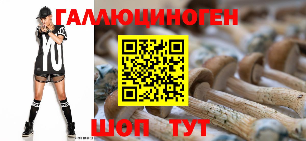 Псилоцибиновые грибы мицелий Горно-Алтайск
